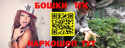 гашик Камышлов