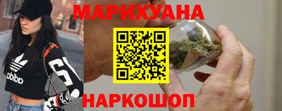 гашик Камышлов