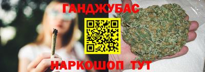 гашик Камышлов