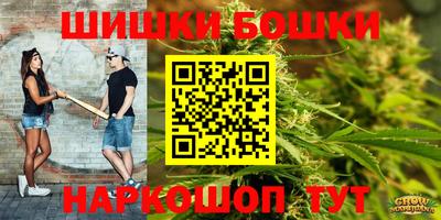 гашик Камышлов